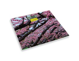 Електронні підлогові ваги Maestro MR-1823