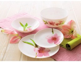 Сервіз столовий 19 предметів Luminarc Water Color E4905