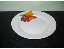 Тарiлка кер. 200 мм мiлка 