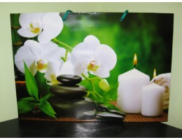   Пакет великий горизонт