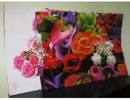 Пакет Мегагигант