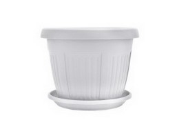   Алеана Вазон з пiдст.